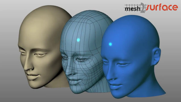 mesh2surface for rhino