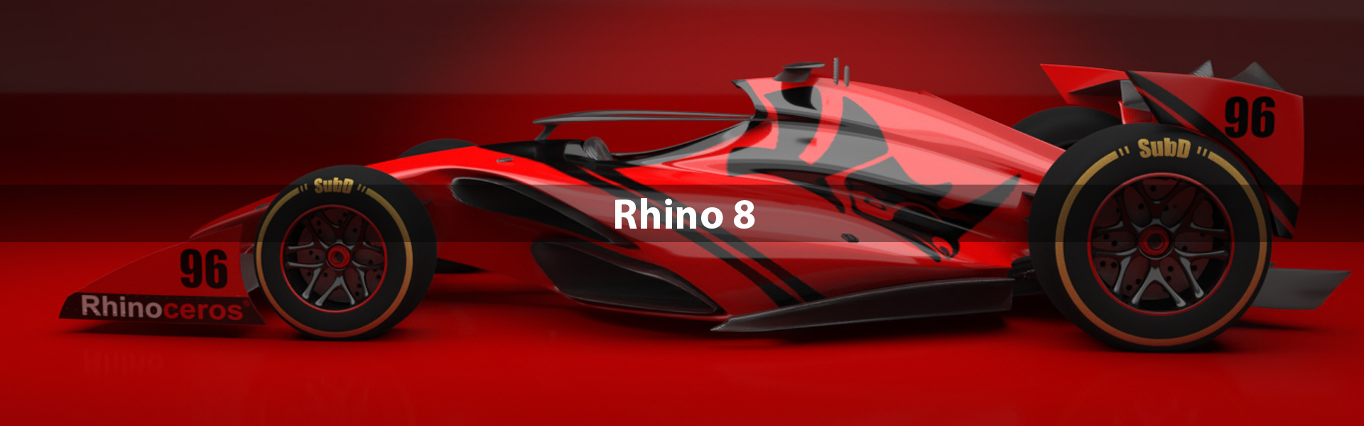 Rhino 8